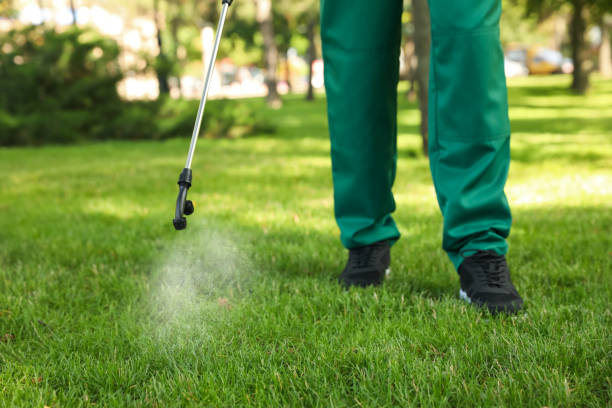 Best Local Pest Control Services  in Powers Lake, WI