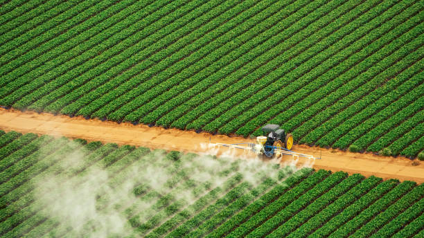 Best Pest Removal Services  in Powers Lake, WI