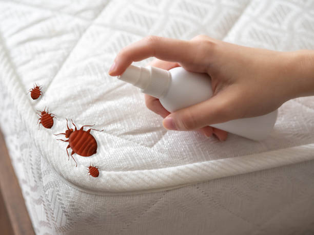 Professional Pest Control in Powers Lake, WI