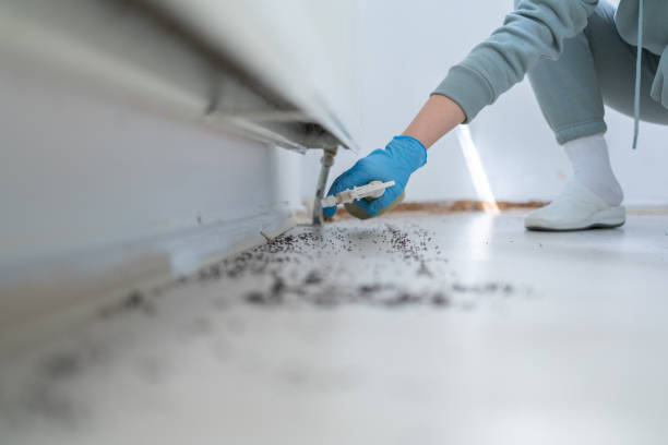 Best Local Pest Control Services  in Powers Lake, WI