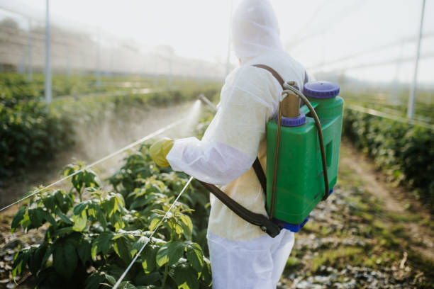 Best Best Pest Control Companies  in Powers Lake, WI